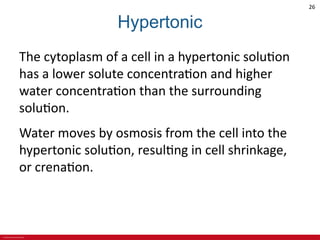 CHAPTER 3 Cell Structures and Their Functions Lecture Outline.pdf