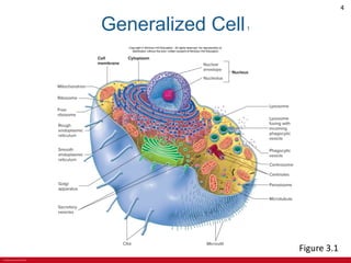 CHAPTER 3 Cell Structures and Their Functions Lecture Outline.pdf