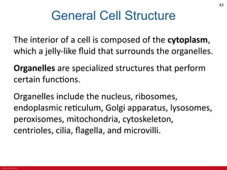 CHAPTER 3 Cell Structures and Their Functions Lecture Outline.pdf
