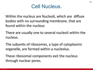 CHAPTER 3 Cell Structures and Their Functions Lecture Outline.pdf