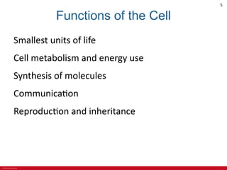 CHAPTER 3 Cell Structures and Their Functions Lecture Outline.pdf