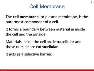 CHAPTER 3 Cell Structures and Their Functions Lecture Outline.pdf