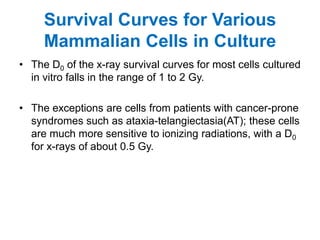 Survival Curves for Various
     Mammalian Cells in Culture
• The D0 of the x-ray survival curves for most cells cultured
  in vitro falls in the range of 1 to 2 Gy.

• The exceptions are cells from patients with cancer-prone
  syndromes such as ataxia-telangiectasia(AT); these cells
  are much more sensitive to ionizing radiations, with a D0
  for x-rays of about 0.5 Gy.
 
