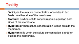 Tonicity
 Tonicity is the relative concentration of solutes in two
fluids on either side of the membrane.
 Isotonic: is when solute concentration is equal on both
sides of the membrane.
 Hypotonic: when solute concentration is less outside the
membrane
 Hypertonic: is when the solute concentration is greater
outside the membrane.
 
