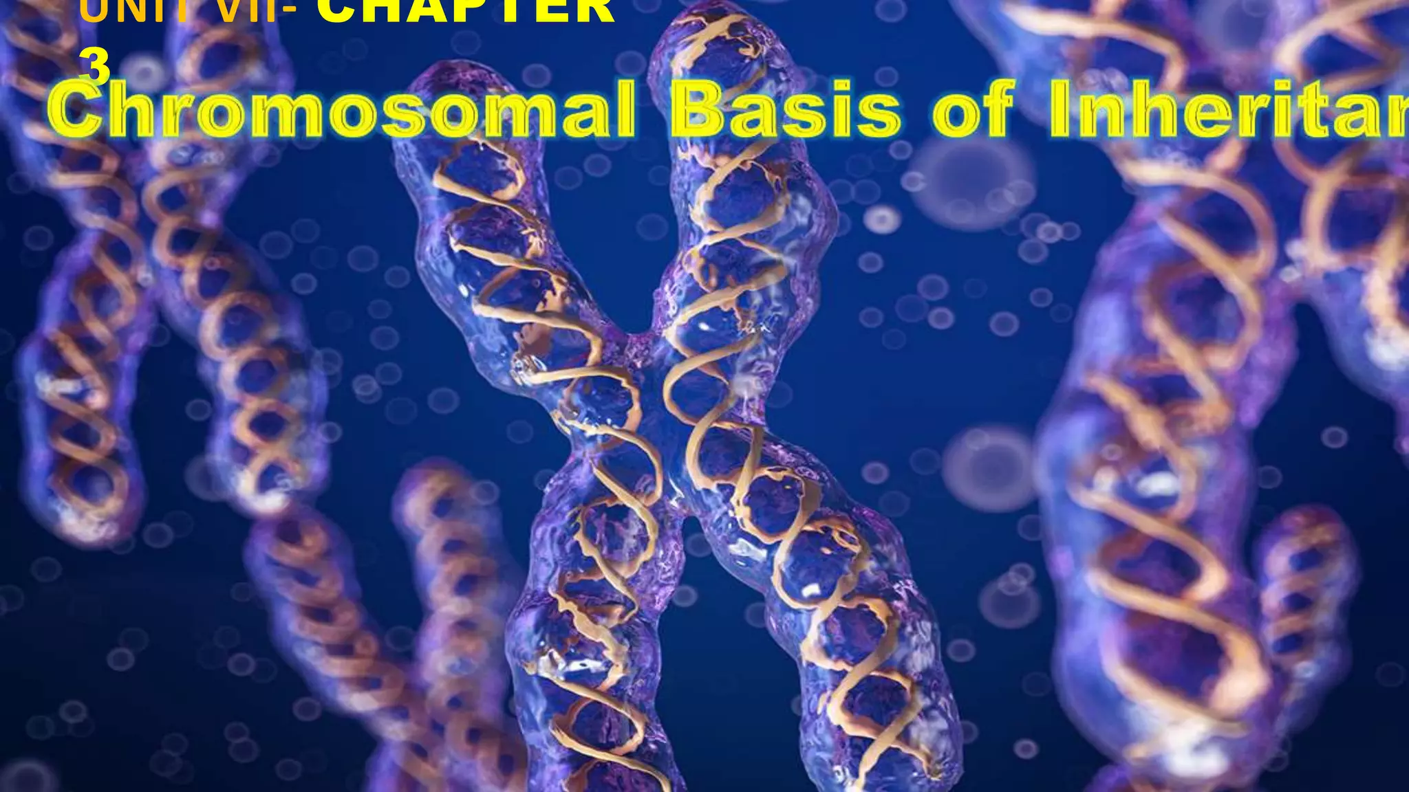 Chapter 3 chromosomal basis of inheritance | PPTX
