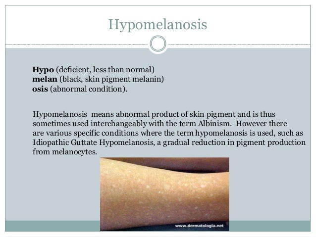 Chapter 3 combining words