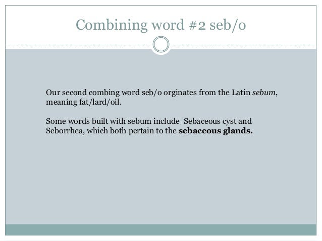 Chapter 3 combining words