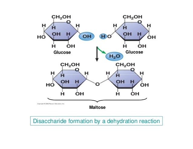 Chapter 3 [compatibility mode]