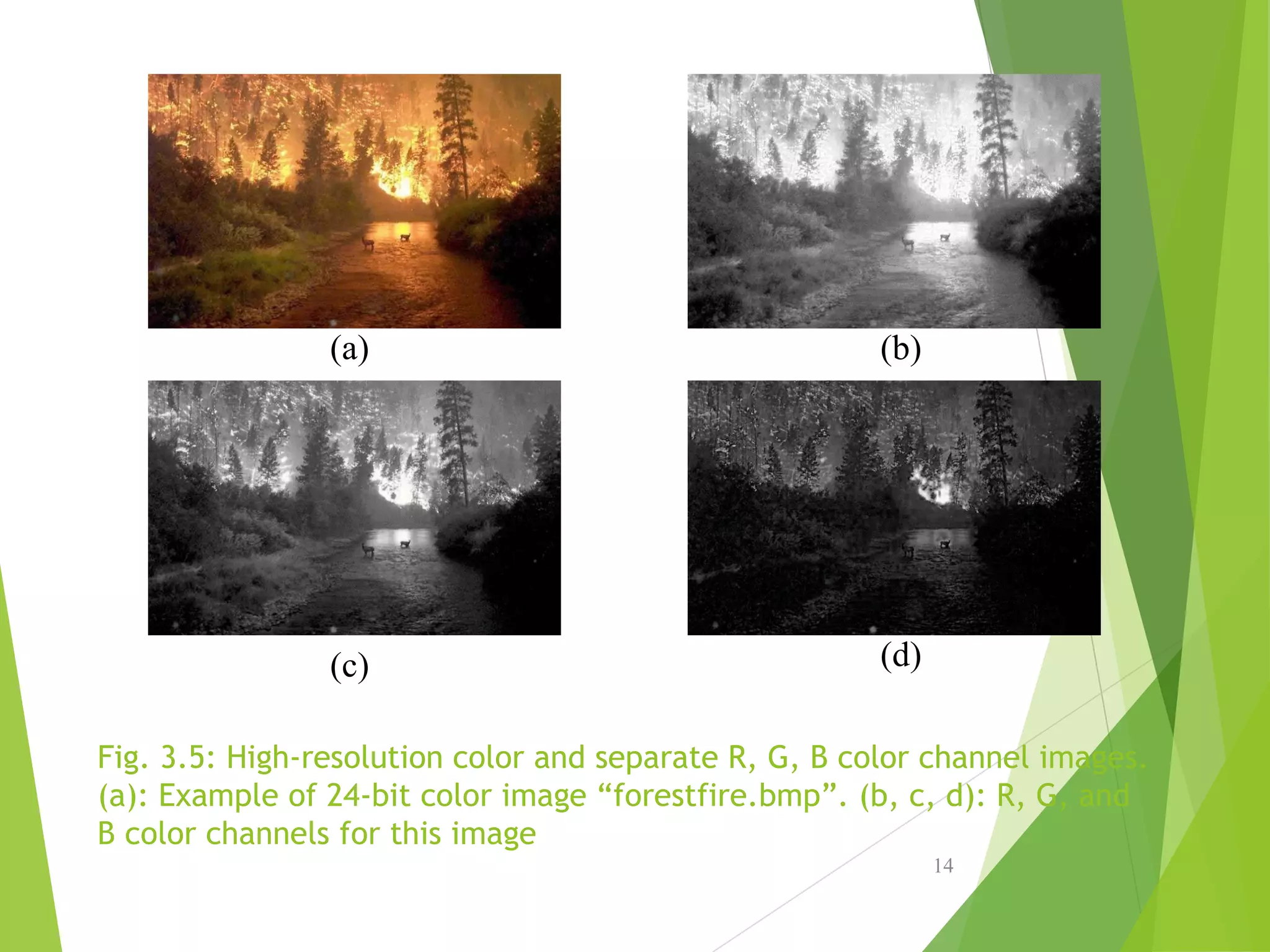 Fig. 3.5: High-resolution color and separate R, G, B color channel images.
(a): Example of 24-bit color image “forestfire.bmp”. (b, c, d): R, G, and
B color channels for this image
14
(a)
(c)
(b)
(d)
 