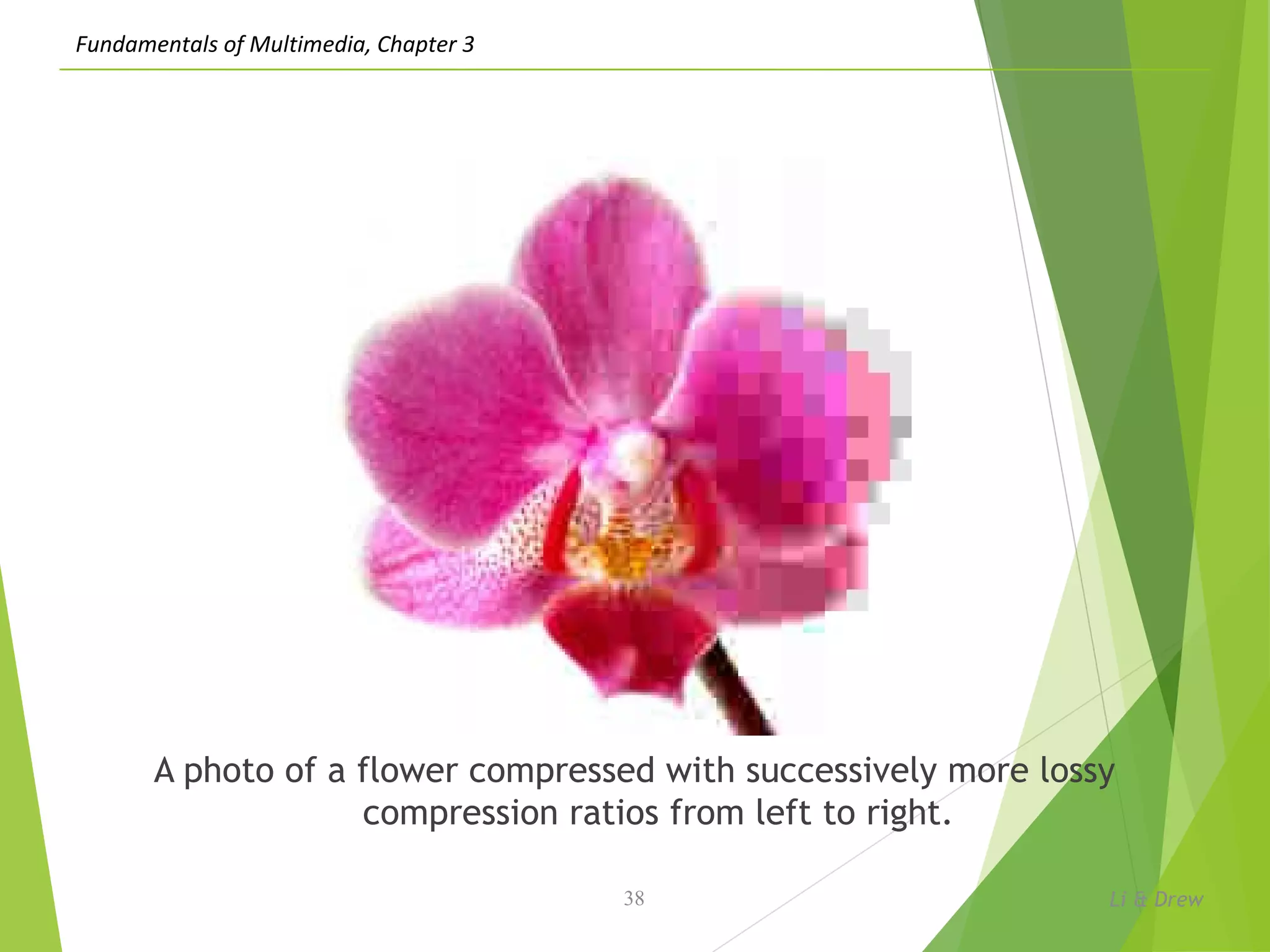Fundamentals of Multimedia, Chapter 3
A photo of a flower compressed with successively more lossy
compression ratios from left to right.
Li & Drew38
 