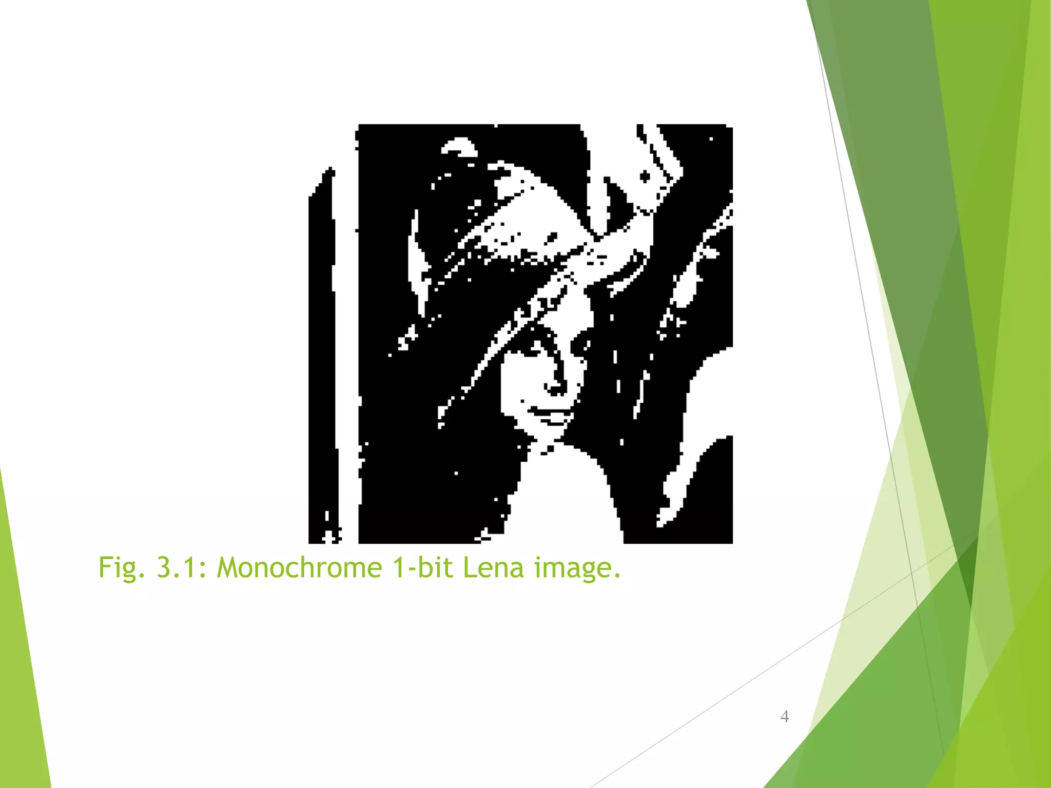 Fig. 3.1: Monochrome 1-bit Lena image.
4
 