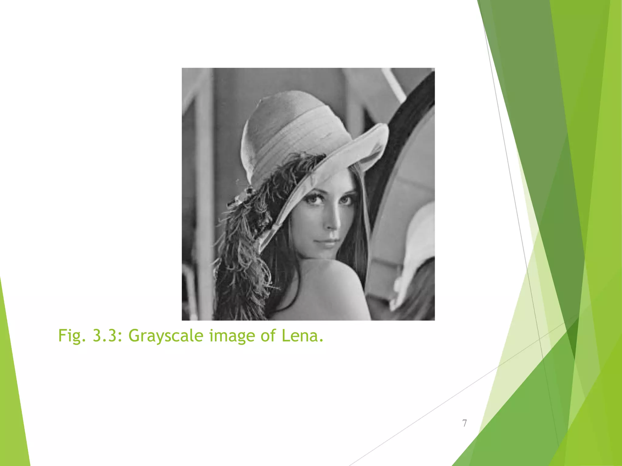 Fig. 3.3: Grayscale image of Lena.
7
 
