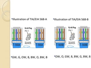 GW, G, OW, B, BW, O, BW, B OW, O, GW, B, BW, G, BW, B
Illustration of TIA/EIA 568-A Illustration of TIA/EIA 568-B
 