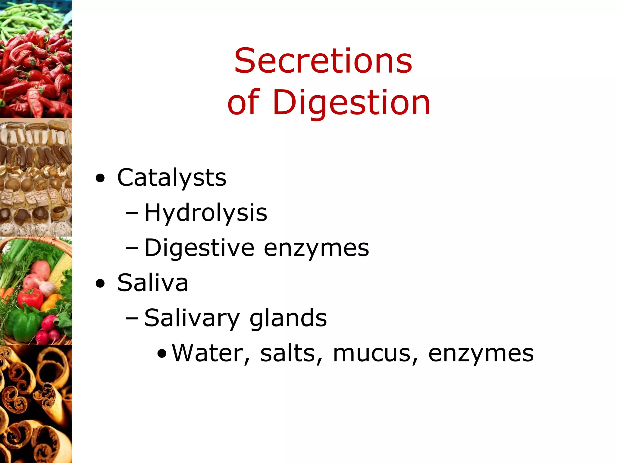Secretions  of Digestion Catalysts Hydrolysis Digestive enzymes Saliva Salivary glands Water, salts, mucus, enzymes 