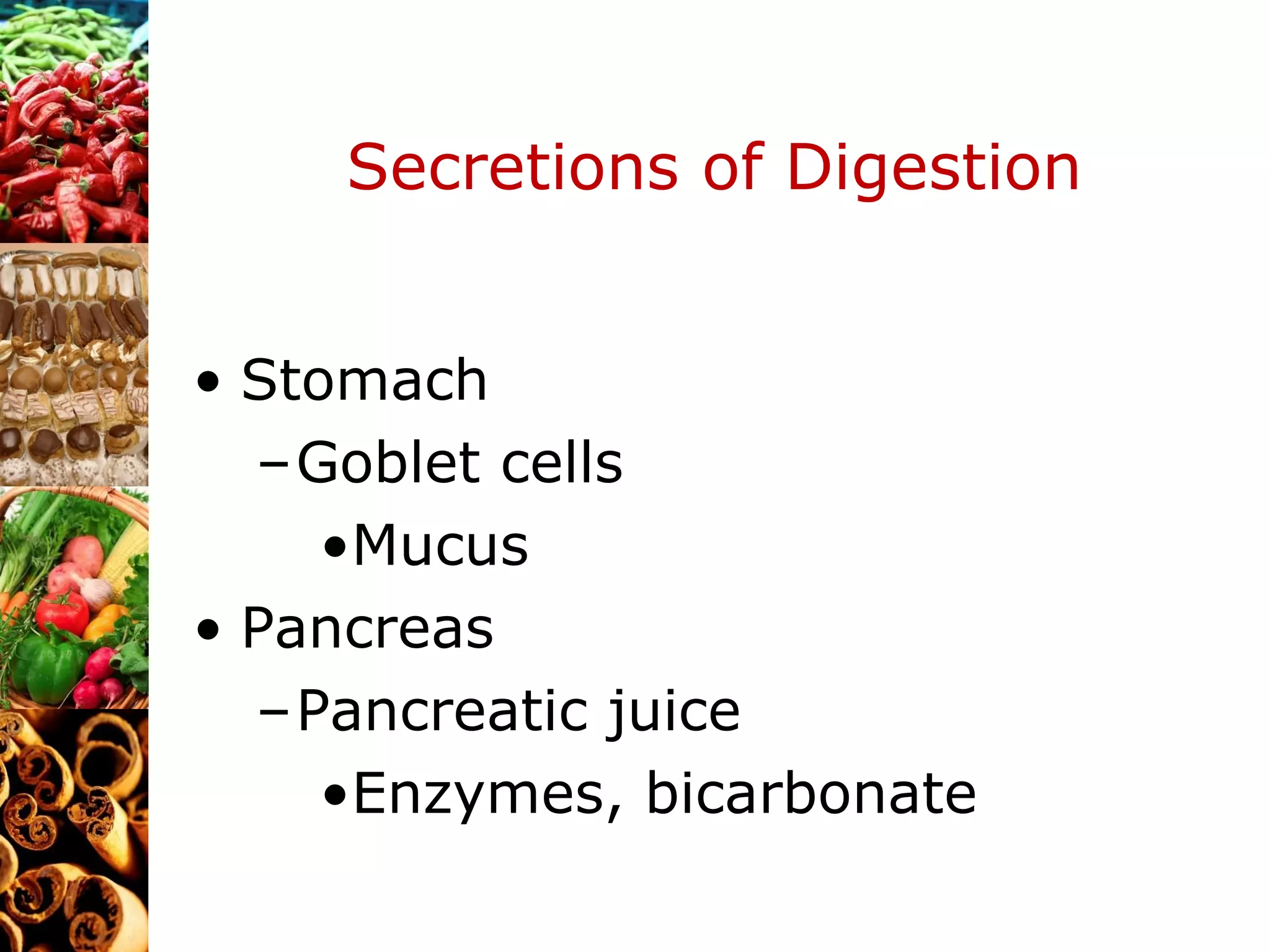 Secretions of Digestion Stomach Goblet cells Mucus Pancreas Pancreatic juice Enzymes, bicarbonate 