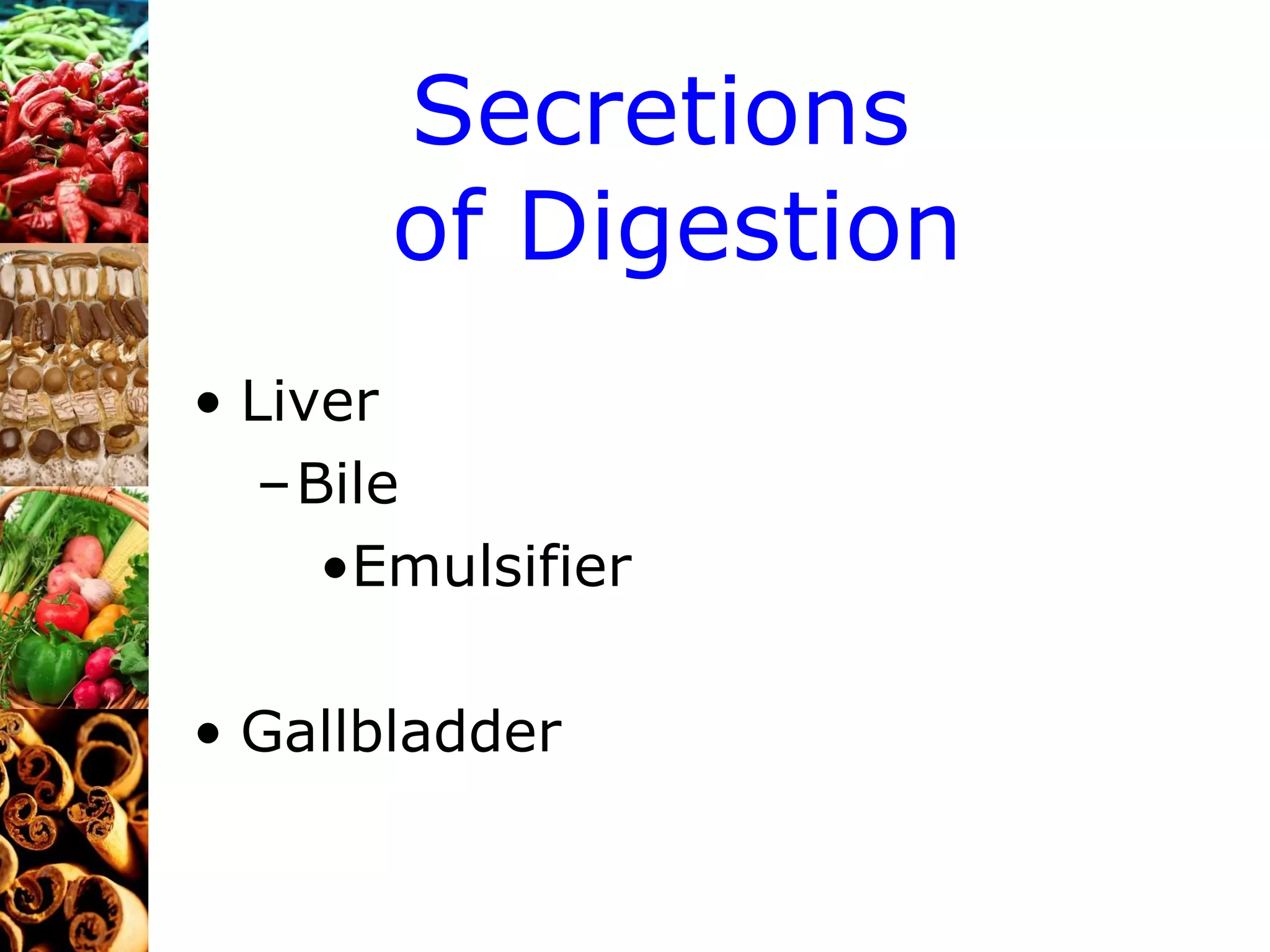 Secretions  of Digestion Liver Bile Emulsifier Gallbladder 