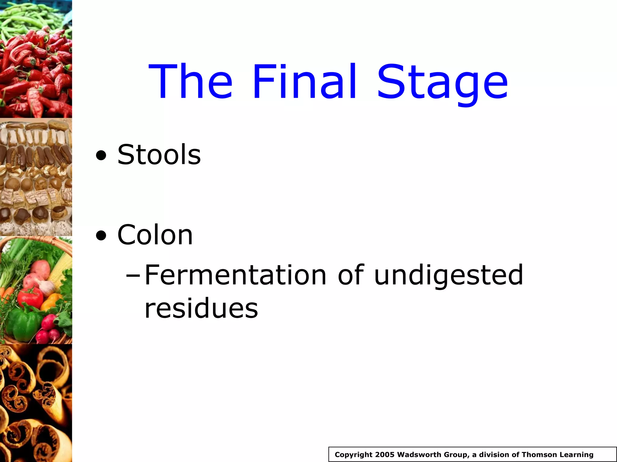 The Final Stage Stools Colon Fermentation of undigested residues Copyright 2005 Wadsworth Group, a division of Thomson Learning 