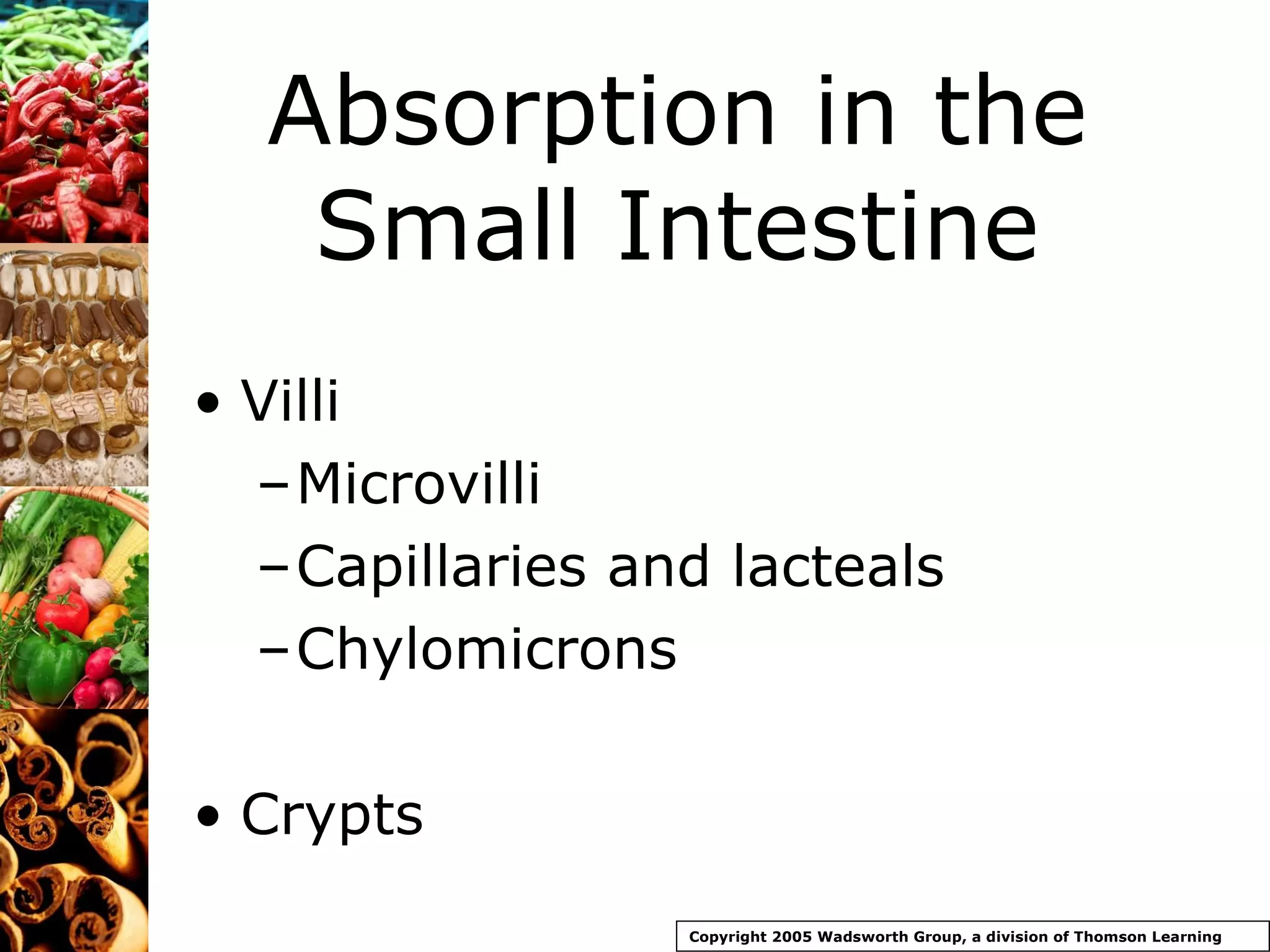 Absorption in the Small Intestine Villi Microvilli Capillaries and lacteals Chylomicrons Crypts Copyright 2005 Wadsworth Group, a division of Thomson Learning 