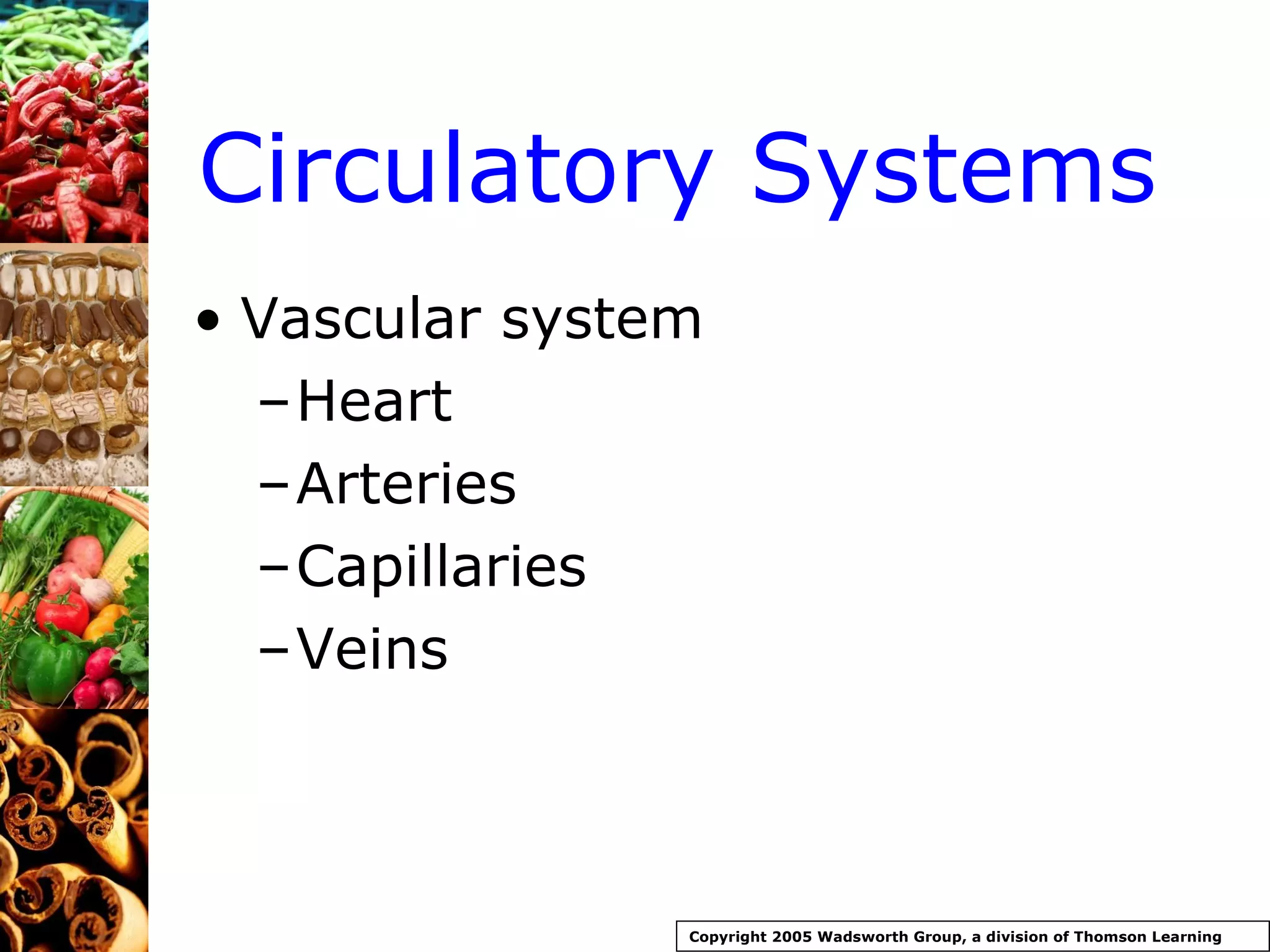 Circulatory Systems Vascular system Heart Arteries Capillaries Veins Copyright 2005 Wadsworth Group, a division of Thomson Learning 