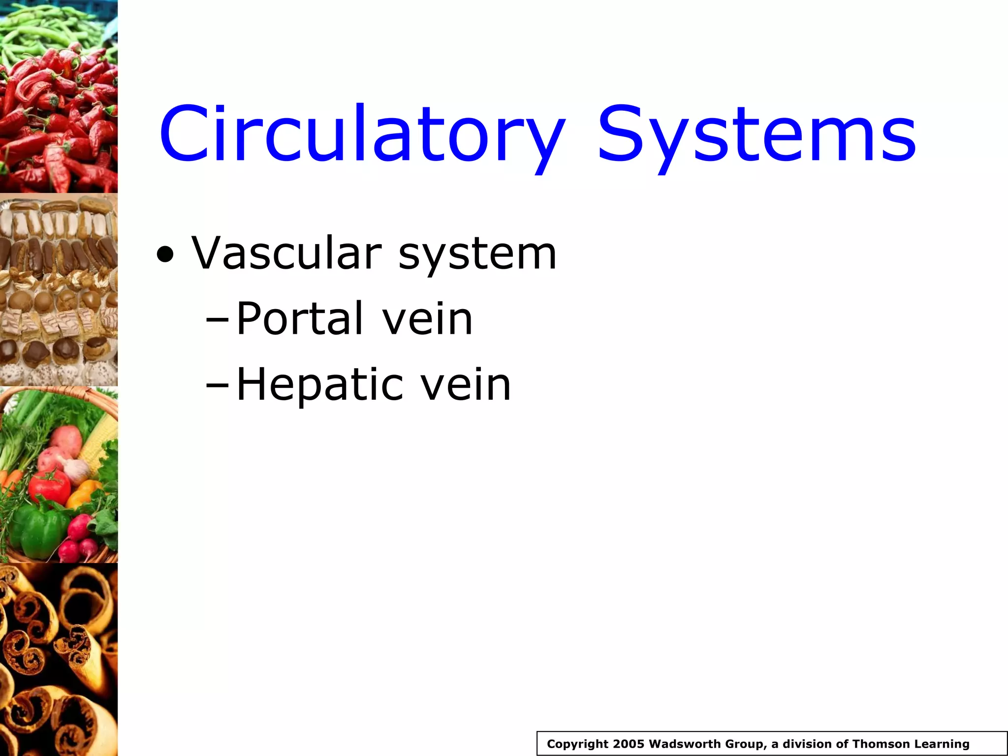 Circulatory Systems Vascular system Portal vein Hepatic vein Copyright 2005 Wadsworth Group, a division of Thomson Learning 
