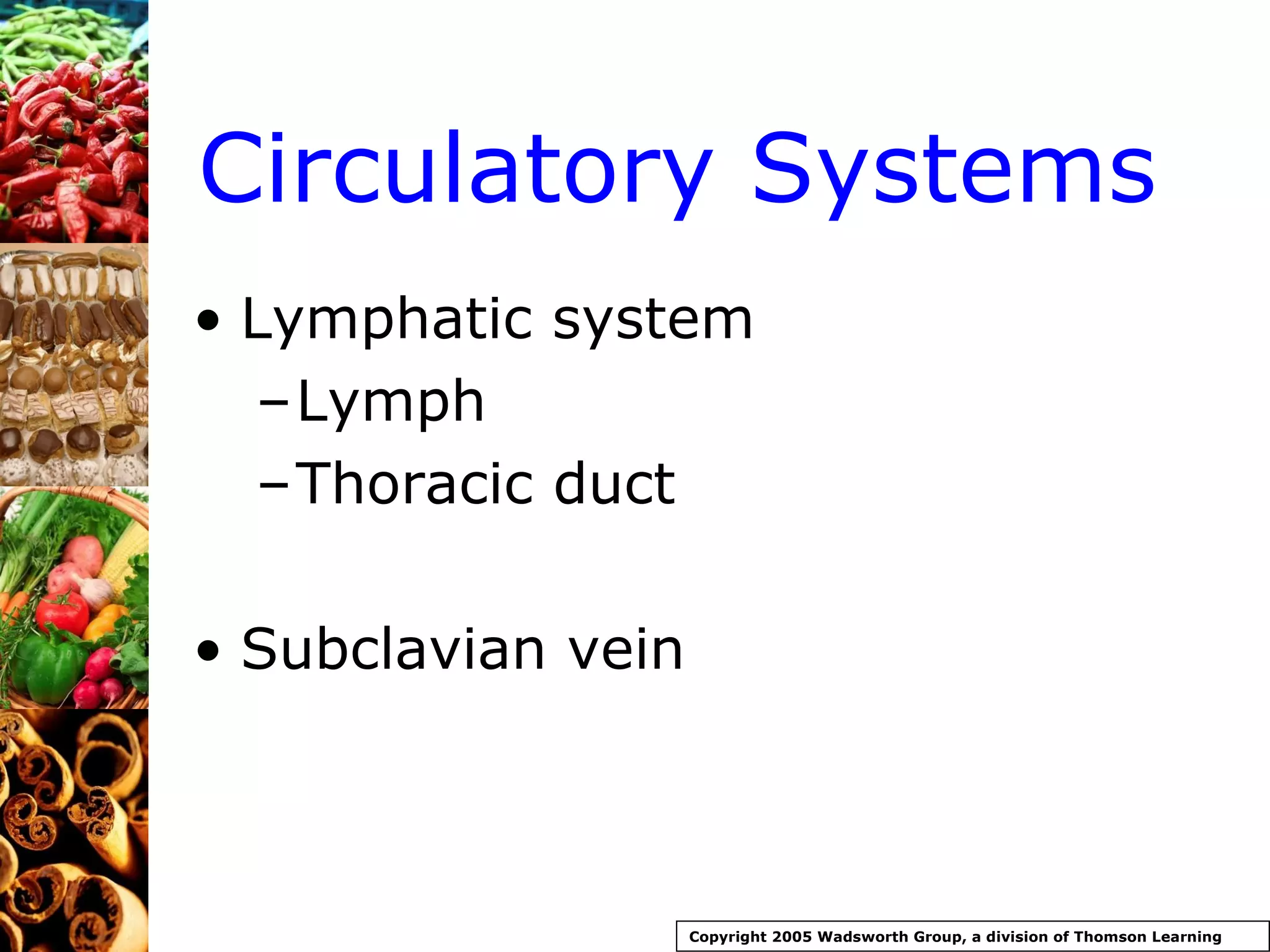 Circulatory Systems Lymphatic system Lymph Thoracic duct Subclavian vein Copyright 2005 Wadsworth Group, a division of Thomson Learning 