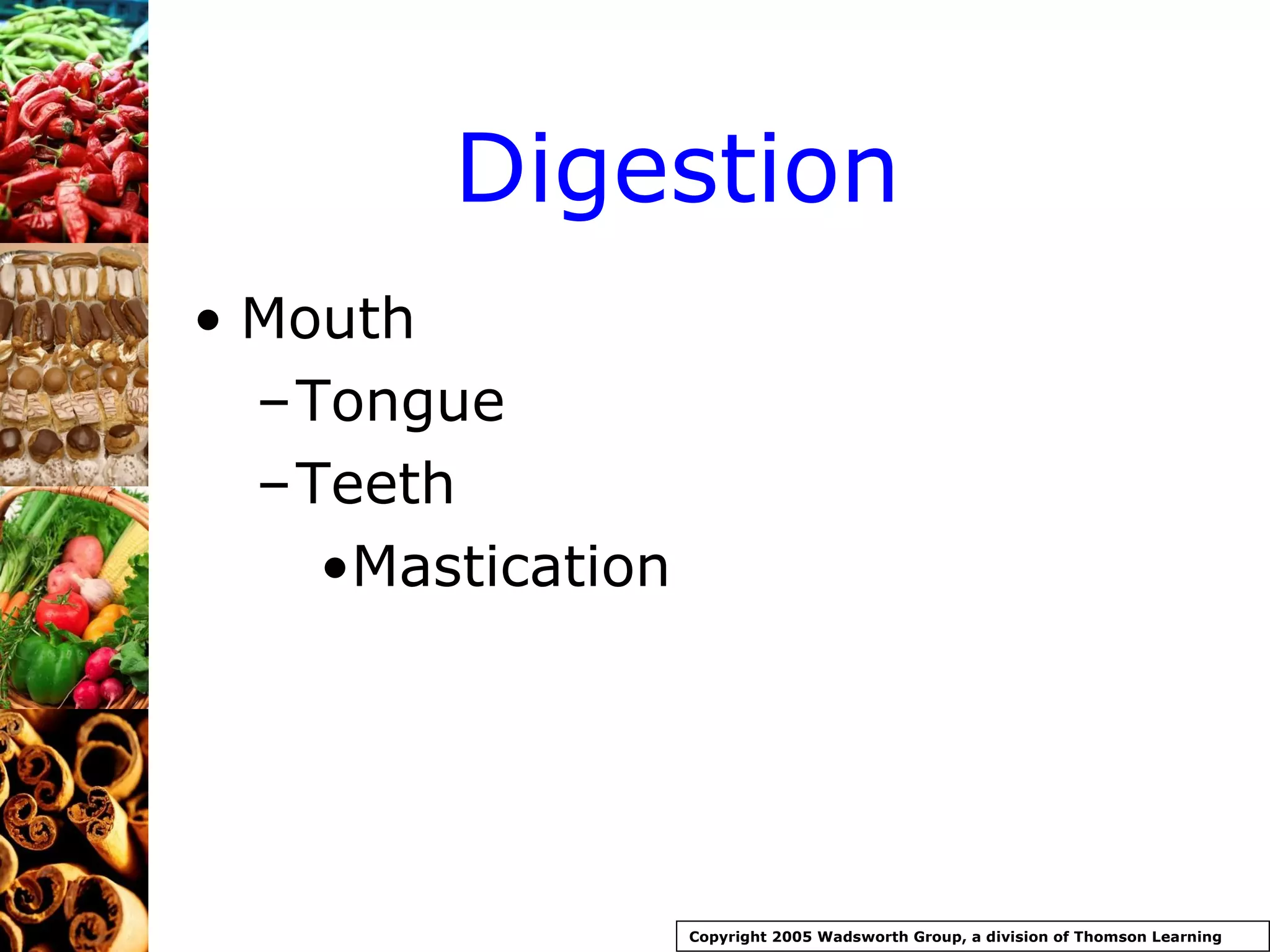 Digestion Mouth Tongue Teeth Mastication Copyright 2005 Wadsworth Group, a division of Thomson Learning 