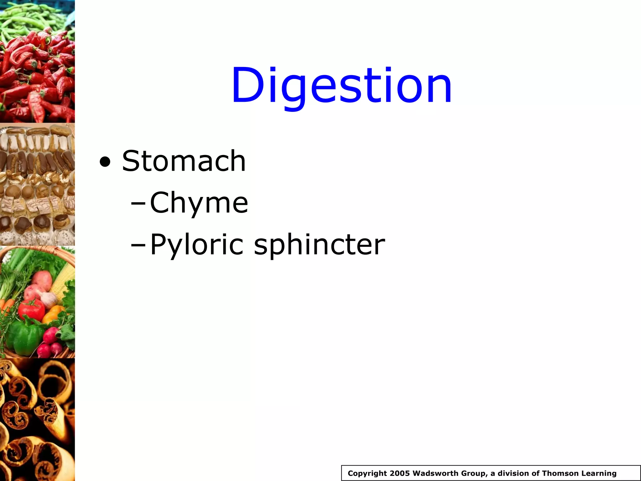 Digestion Stomach Chyme Pyloric sphincter Copyright 2005 Wadsworth Group, a division of Thomson Learning 