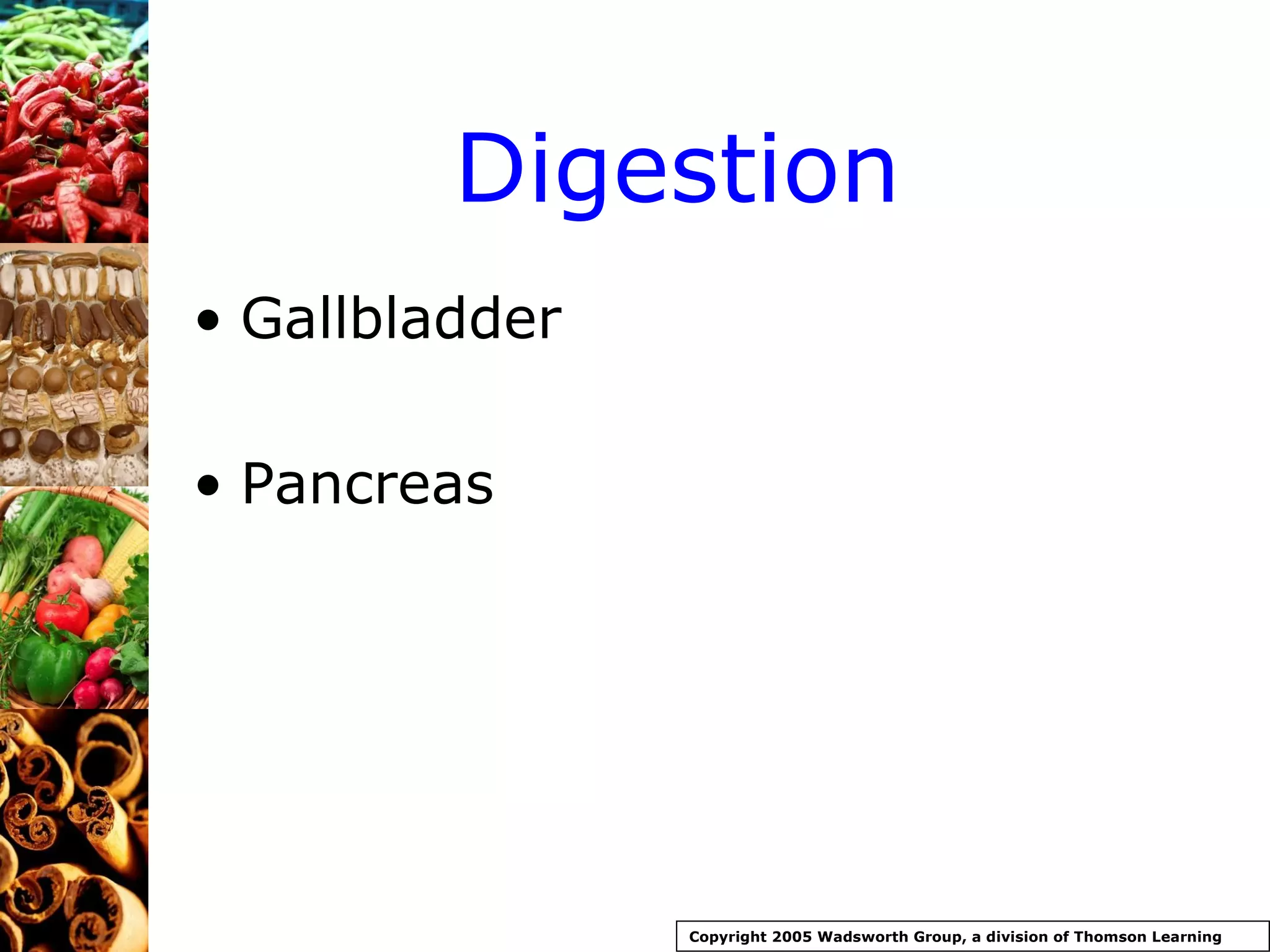 Digestion Gallbladder Pancreas Copyright 2005 Wadsworth Group, a division of Thomson Learning 