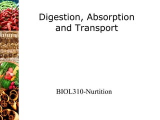 Digestion, Absorption and Transport BIOL310-Nurtition 