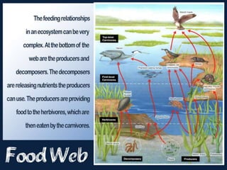 M&amp;L Biology Chap 3 | PPTX