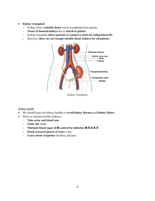 Chapter 3 Excretion | PDF