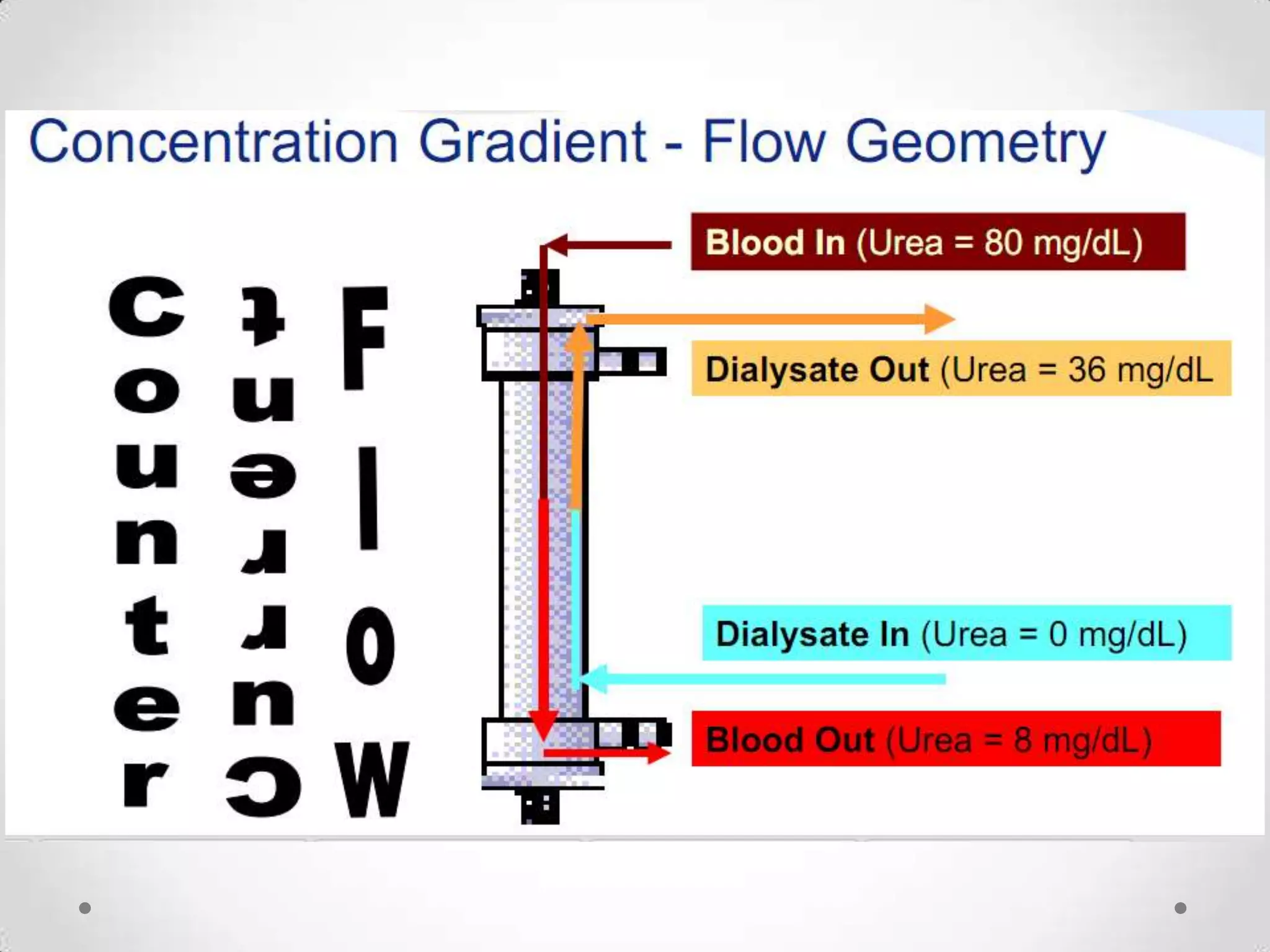 Form 3 PMR Science Chapter 3 Excretory System