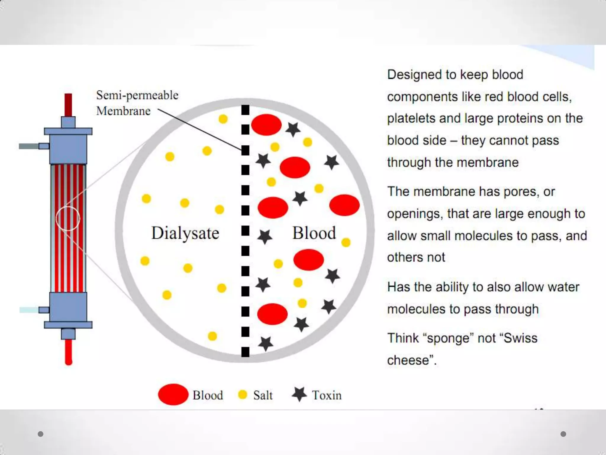 Form 3 PMR Science Chapter 3 Excretory System