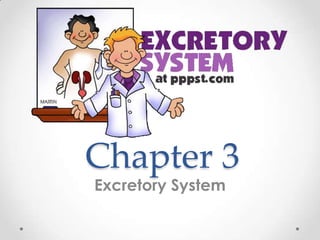 Chapter 3
Excretory System
 