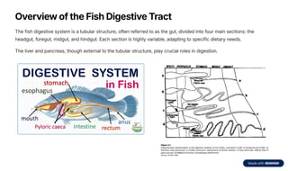 Digestive System In Fish Chapter 3_Feeding Habits and Digestive Physiology of Fishes.pdf