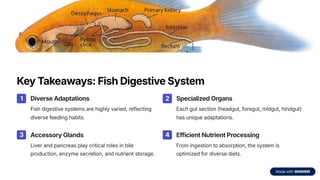 Chapter 3_Feeding Habits and Digestive Physiology of Fishes.pdf