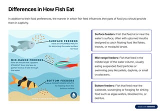 Chapter 3_Feeding Habits and Digestive Physiology of Fishes.pdf