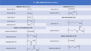 Amino Acid Metabolism | PPTX