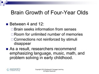 Copyright 2016 Wadsworth Cengage Learning.
All Rights Reserved.
Brain Growth of Four-Year Olds
 Between 4 and 12:
Brain seeks information from senses
Room for unlimited number of memories
Connections not reinforced by stimuli
disappear
 As a result, researchers recommend
emphasizing language, music, math, and
problem solving in early childhood.
 