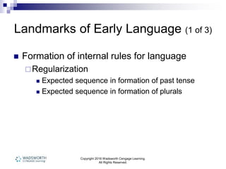 Copyright 2016 Wadsworth Cengage Learning.
All Rights Reserved.
Landmarks of Early Language (1 of 3)
 Formation of internal rules for language
Regularization
 Expected sequence in formation of past tense
 Expected sequence in formation of plurals
 