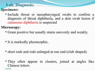 Chapter 3 Gram positive rods from medical bacteriology two | PPT