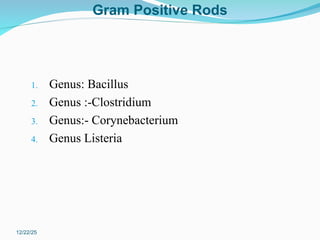Chapter 3 Gram positive rods bacteriology two ppt | PPT