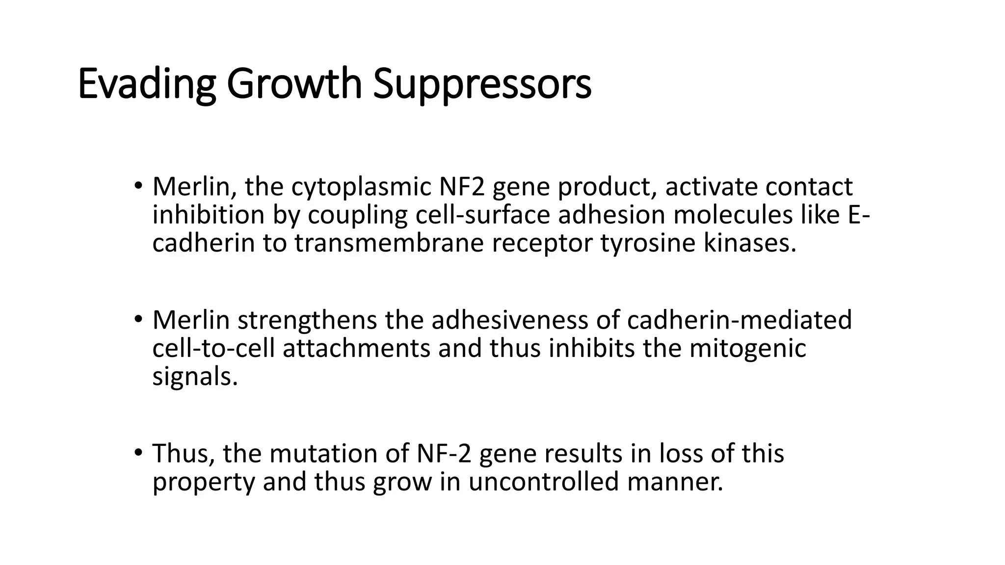 Evading Growth Suppressors
• Merlin, the cytoplasmic NF2 gene product, activate contact
inhibition by coupling cell-surface adhesion molecules like E-
cadherin to transmembrane receptor tyrosine kinases.
• Merlin strengthens the adhesiveness of cadherin-mediated
cell-to-cell attachments and thus inhibits the mitogenic
signals.
• Thus, the mutation of NF-2 gene results in loss of this
property and thus grow in uncontrolled manner.
 