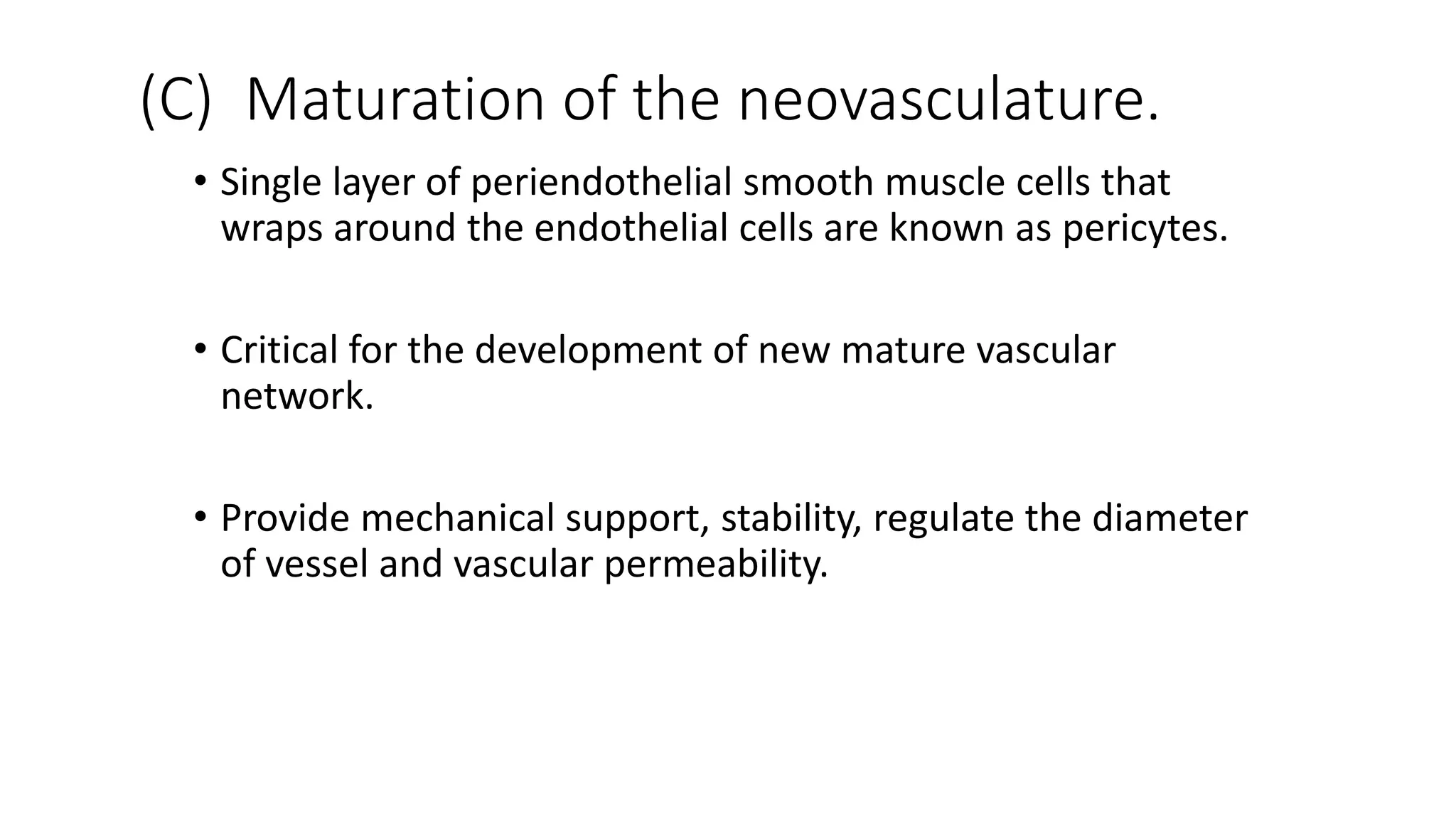 (C) Maturation of the neovasculature.
• Single layer of periendothelial smooth muscle cells that
wraps around the endothelial cells are known as pericytes.
• Critical for the development of new mature vascular
network.
• Provide mechanical support, stability, regulate the diameter
of vessel and vascular permeability.
 