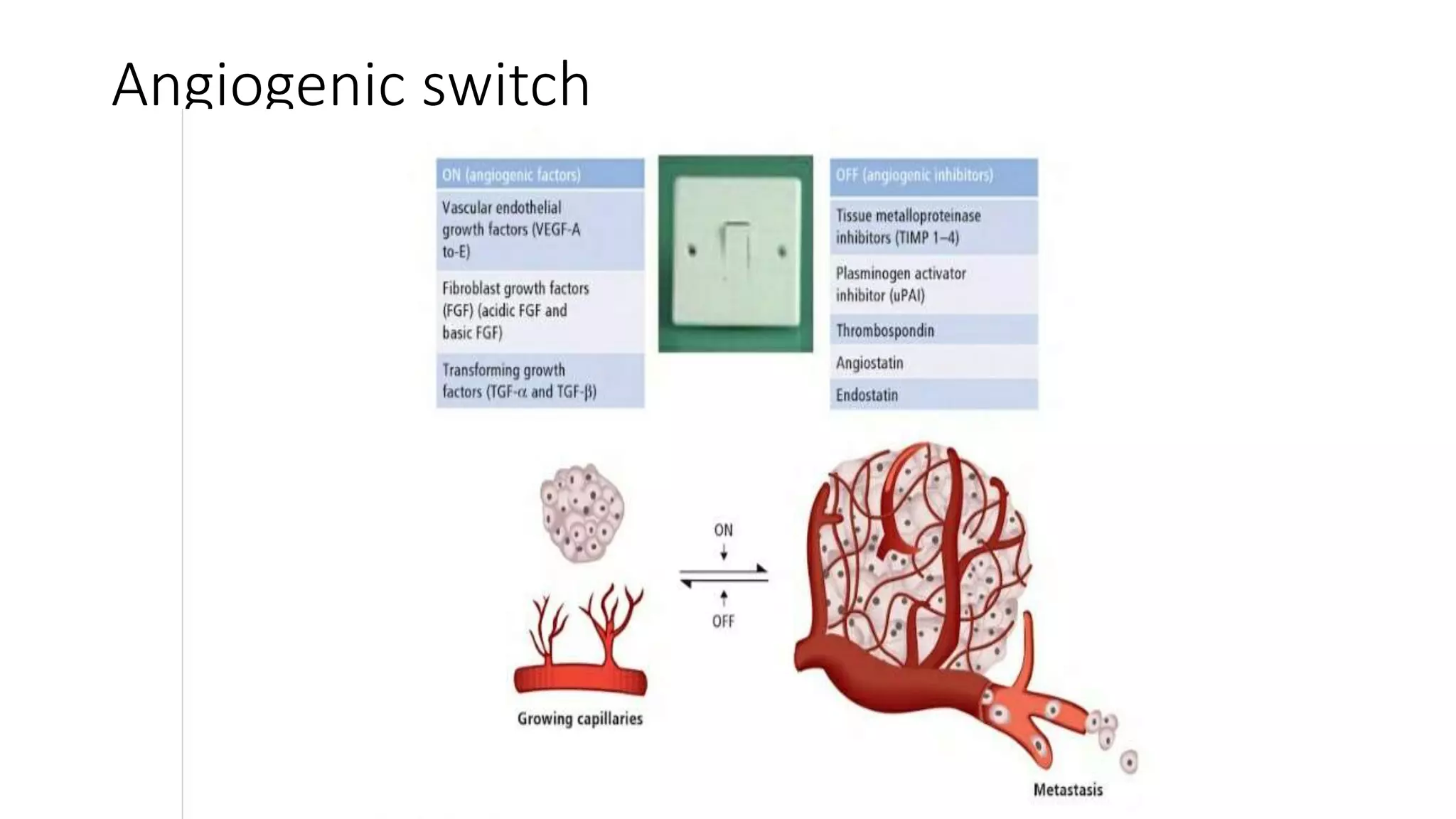 Angiogenic switch
 