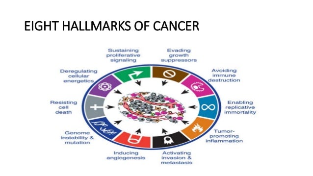 14 Hallmark of cancer ppt