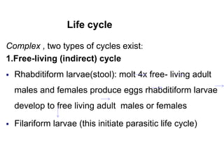 Life cycle
Complex , two types of cycles exist:
1.Free-living (indirect) cycle
 Rhabditiform larvae(stool): molt 4x free- living adult
males and females produce eggs rhabditiform larvae
develop to free living adult males or females
 Filariform larvae (this initiate parasitic life cycle)
 