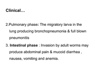 Clinical…
2.Pulmonary phase: The migratory larva in the
lung producing bronchopneumonia & full blown
pneumonitis
3. Intestinal phase : Invasion by adult worms may
produce abdominal pain & mucoid diarrhea ,
nausea, vomiting and anemia.
 