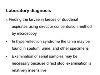 Laboratory diagnosis
1. Finding the larvae in faeces or duodenal
aspirates using direct or concentration method
by microscopy
 In hyper-infection syndrome the larva may be
found in sputum, urine and other specimens
 Examination of serial samples may be
necessary because direct stool examination is
relatively insensitive
 