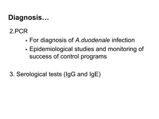 Diagnosis…
2.PCR
 For diagnosis of A.duodenale infection
 Epidemiological studies and monitoring of
success of control programs
3. Serological tests (IgG and IgE)
 
